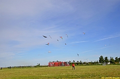 Venice kite festival_0627